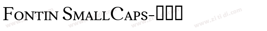 Fontin SmallCaps字体转换 Fontin SmallCaps字体转换